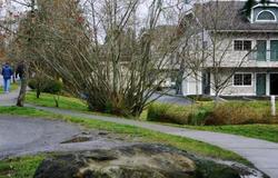 Quality Inn & Suites Bainbridge Island