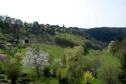 Aux Trois Roses