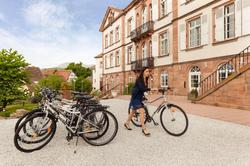 Val-Vignes Haut-Koenigsbourg, The Originals Relais
