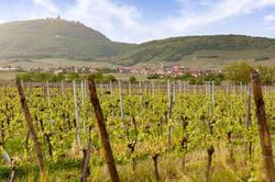 Val-Vignes Haut-Koenigsbourg, The Originals Relais