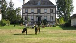 Le Gingko - Hotel du Golf Parc Robert Hersant