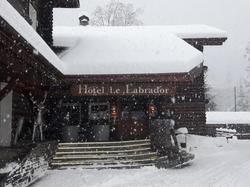Le Labrador