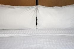 Sheraton Charlotte Airport Hotel