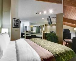 Comfort Inn Cleveland
