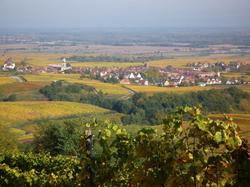 Hotel Vignette Alsace
