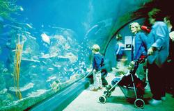 Hotel Denver - International Airport
