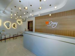 Orcey