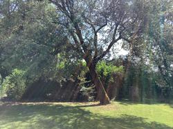 Logis Hotel La Borie