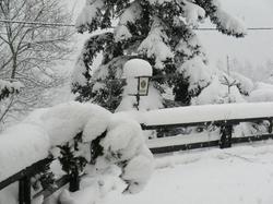 Zum Schneekopf