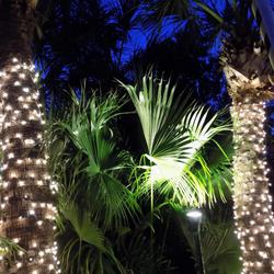 The Caribbean Court Boutique