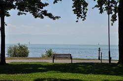 Traube am See