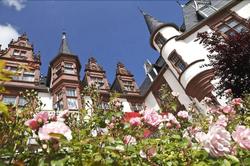 Schlosshotel & Orangerie Klink