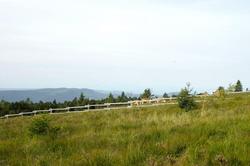Wellness- & Nationalpark Hotel Schliffkopf BWSC