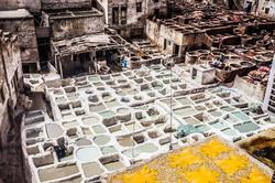 Riad Zamane