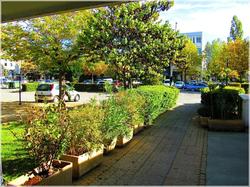 P'tit Dej-HOTEL Aix-en-Provence