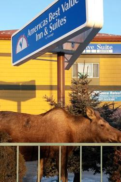 Americas Best Value Inn & Suites Anchorage Airport