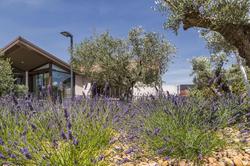 Hôtel Terre de Provence, Le Pontet- Avignon