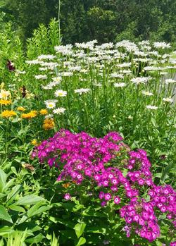 Manor House Bed & Breakfast