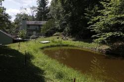 Lil Black Bear Inn