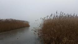 Fischerwiege am Passader See