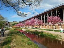 Gartenhotel Heusser & Doggy Wellness