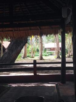 Joy Bungalow