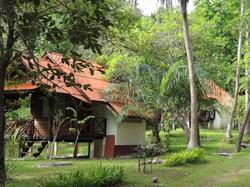 Joy Bungalow
