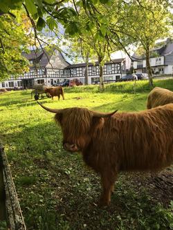 Landgasthof Gilsbach