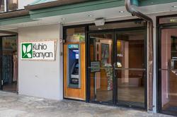 Kuhio Banyan