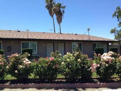 Maple Inn & Suites
