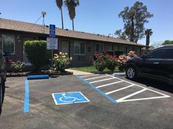 Maple Inn & Suites