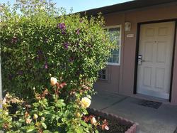 Maple Inn & Suites
