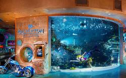 Silverton Casino Lodge