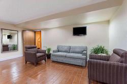 Super 8 by Wyndham Lexington Winchester Rd