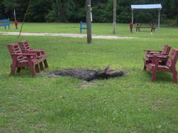 Deerwood Resort Motel & Campgrounds