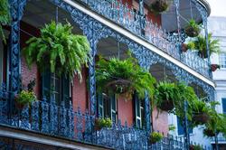 Frenchmen Orleans at 519, Ascend Hotel Collection