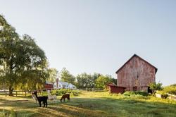 Hill Farm Inn