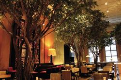 Four Seasons New York