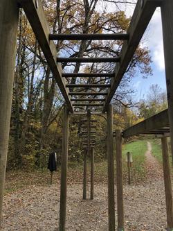 Les Afforêts