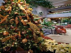 Radisson Hotel Corning