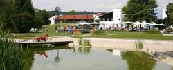 Chrysantihof