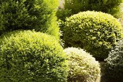 Des Grandes Ecoles