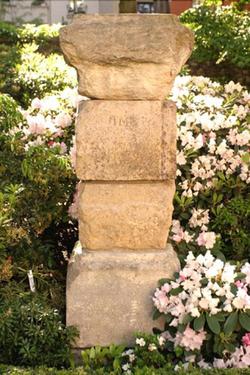 Des Grandes Ecoles