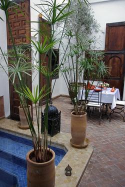 Riad Elixir