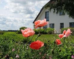 Wreecher Hof