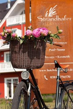 Strandhafer - Aparthotel