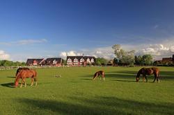 Strandhafer - Aparthotel
