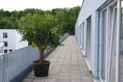 Zar Hotel Vitalis