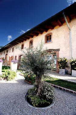 Rainhof Scheune