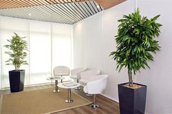 Sejours & Affaires Strasbourg Kleber
